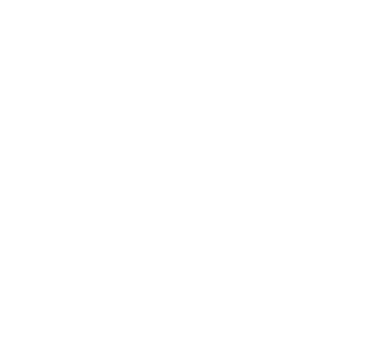 Noah Logo